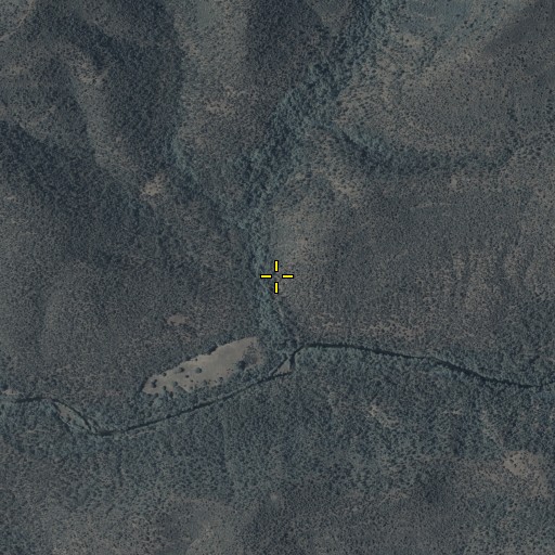 Aerial/Satellite Image of Ten of Diamonds Ranch, AZ