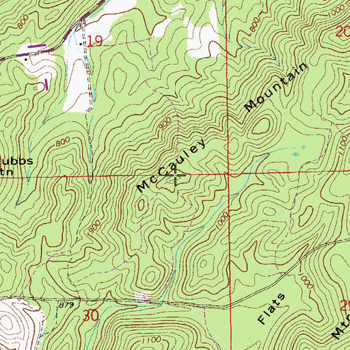 Topographic Map of McCauley Mountain, AL