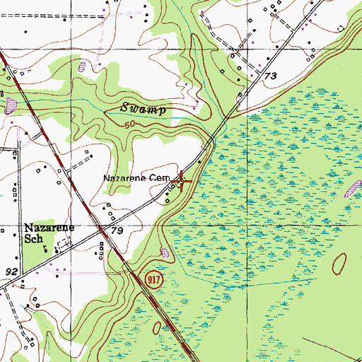 Topographic Map of Nazarene Cemetery, SC