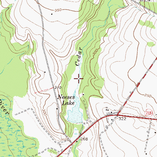 Topographic Map of Neeses Lake, SC