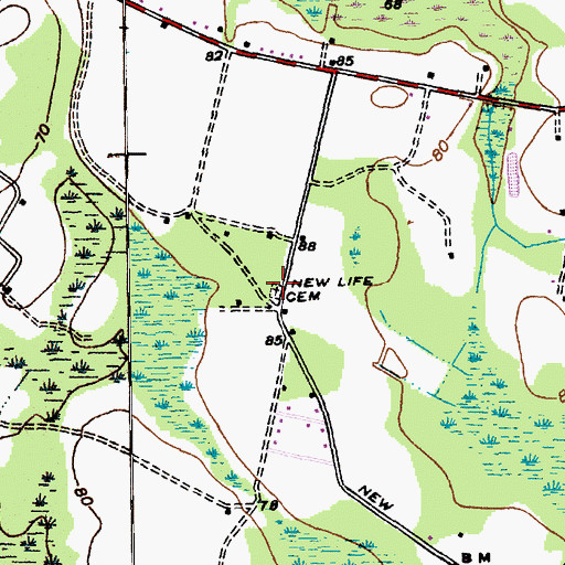 Topographic Map of New Life Cemetery, SC