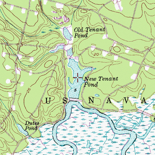 Topographic Map of New Tenant Pond, SC