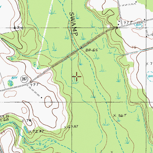 Topographic Map of Newman Branch, SC