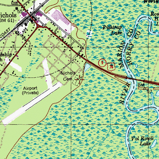 Topographic Map of Nichols Cemetery, SC