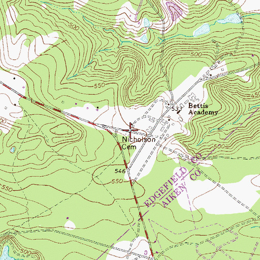 Topographic Map of Nicholson Cemetery, SC