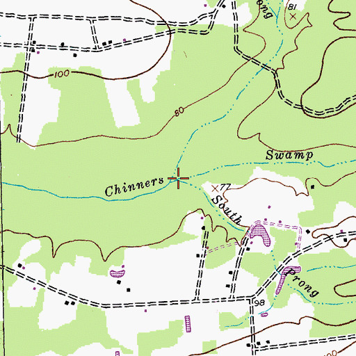 Topographic Map of North Prong Chinners Swamp, SC