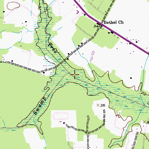 Topographic Map of Oakey Swamp, SC