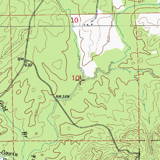 Topographic Map of McCutchen Branch, AL
