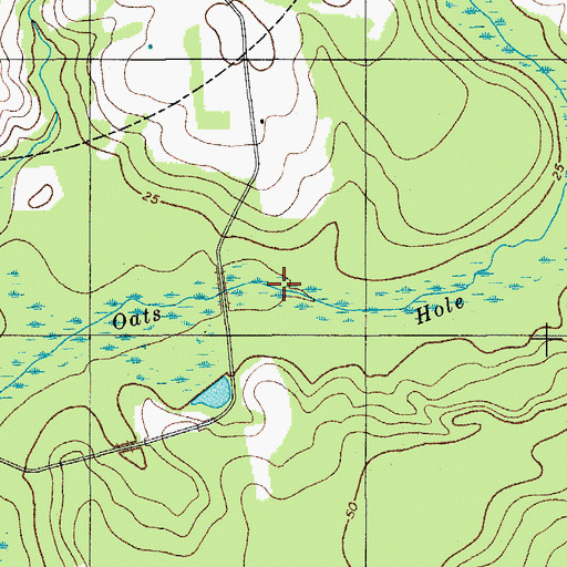 Topographic Map of Oats Hole, SC