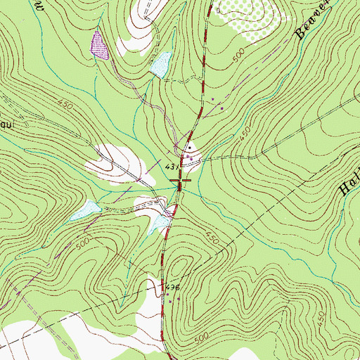 Topographic Map of Paces Branch, SC