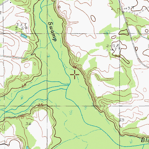 Topographic Map of Paisley Swamp, SC