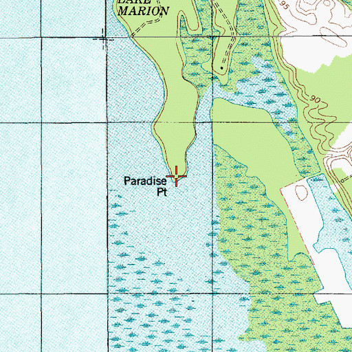 Topographic Map of Paradise Point, SC