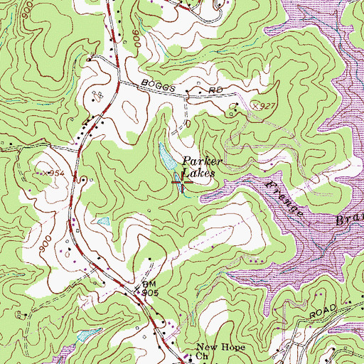 Topographic Map of Parker Lakes, SC