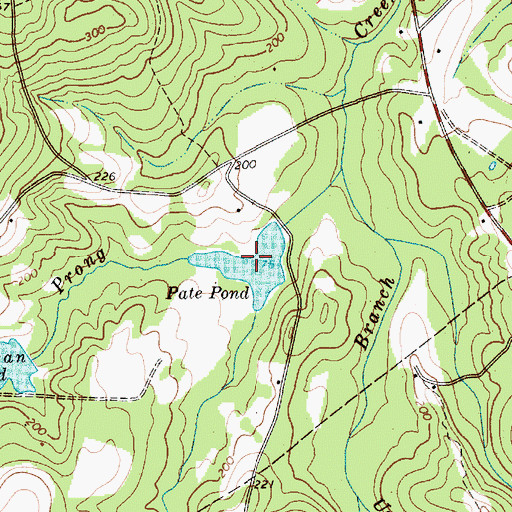 Topographic Map of Pate Pond, SC