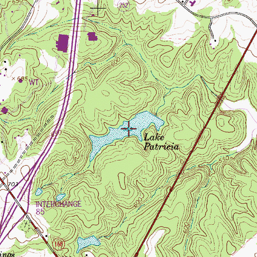 Topographic Map of Lake Patricia, SC