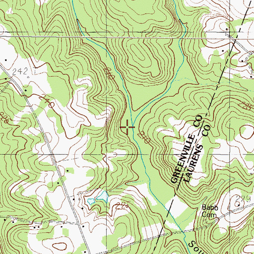 Topographic Map of Payne Branch, SC
