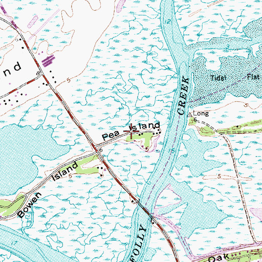 Topographic Map of Pea Island, SC