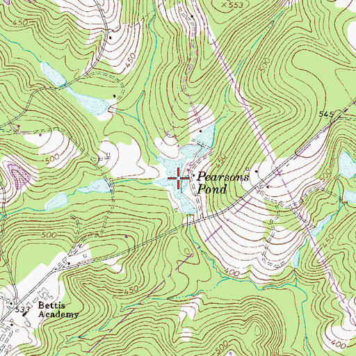 Topographic Map of Pearsons Pond, SC