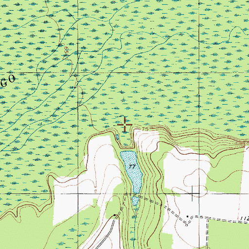 Topographic Map of Peddlers Branch, SC