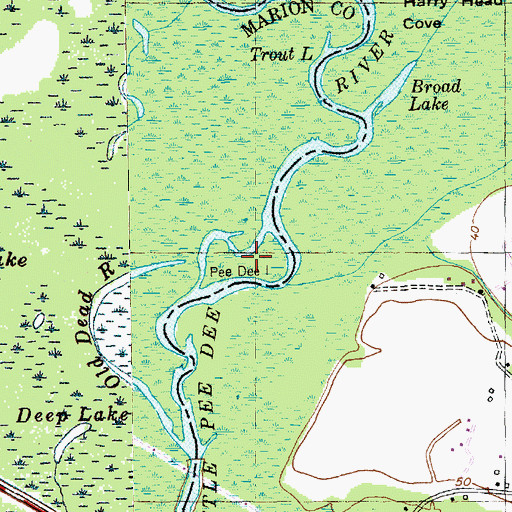 Topographic Map of Pee Dee Island, SC