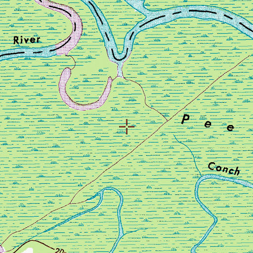 Topographic Map of Pee Dee Swamp, SC