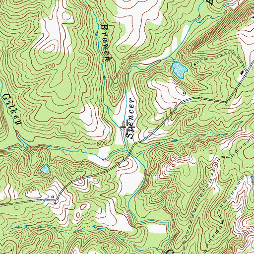 Topographic Map of Peeler Branch, SC