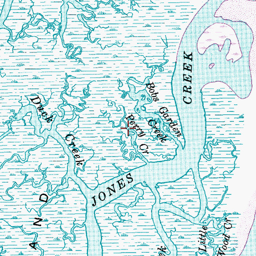 Topographic Map of Perry Creek, SC