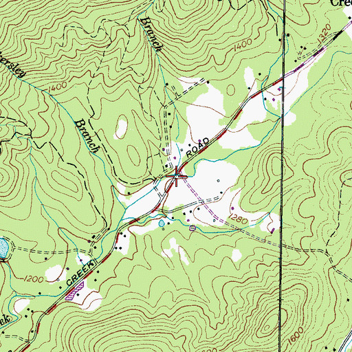Topographic Map of Peters Branch, SC