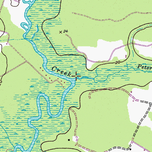 Topographic Map of Peters Creek, SC