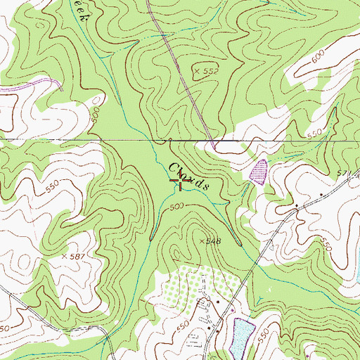 Topographic Map of Peters Creek, SC