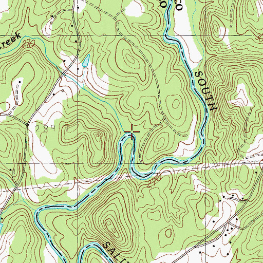 Topographic Map of Peters Creek, SC