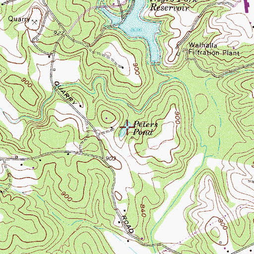 Topographic Map of Peters Pond, SC
