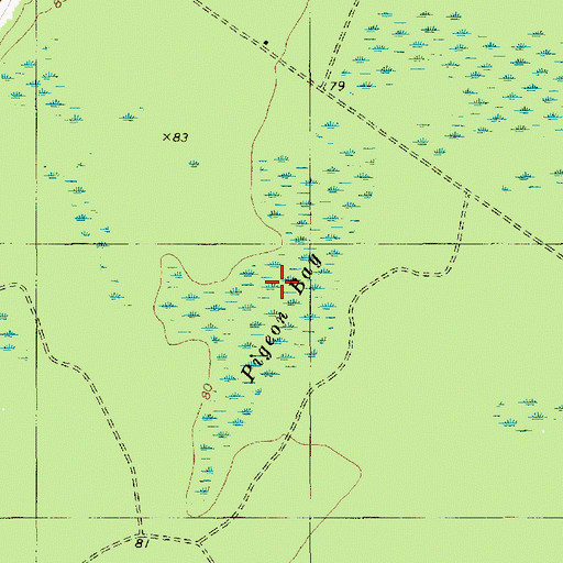 Topographic Map of Pigeon Bay, SC