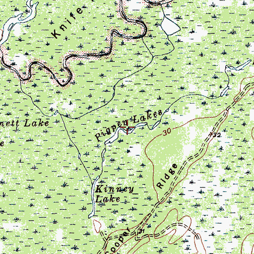 Topographic Map of Pigpen Lakes, SC