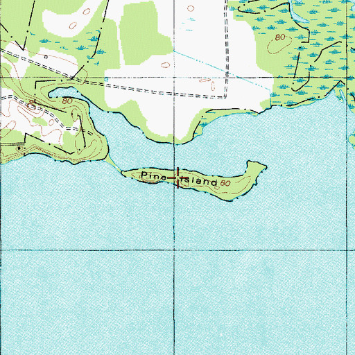 Topographic Map of Pine Island, SC