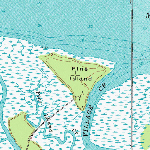 Topographic Map of Pine Island, SC