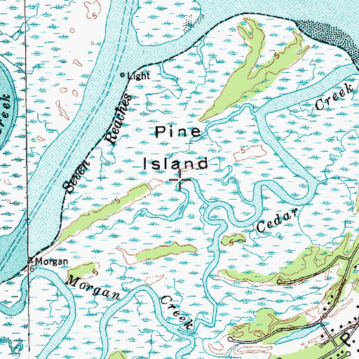 Topographic Map of Pine Island, SC