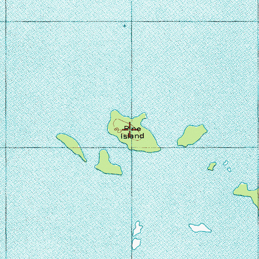 Topographic Map of Pine Island, SC