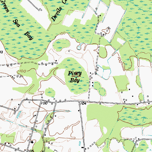 Topographic Map of Piney Bay, SC
