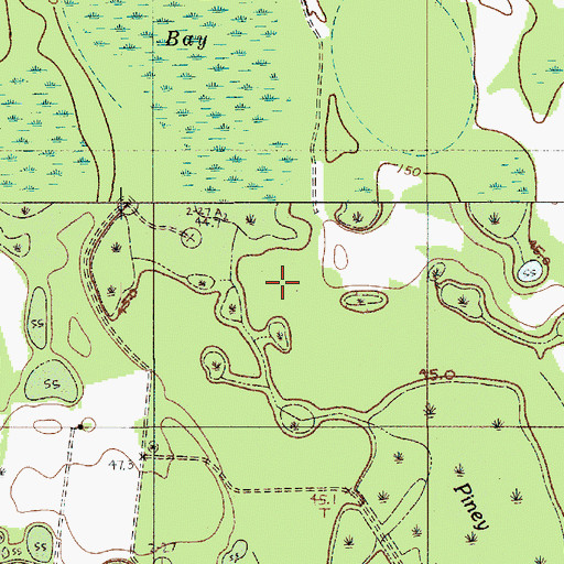 Topographic Map of Piney Bay, SC