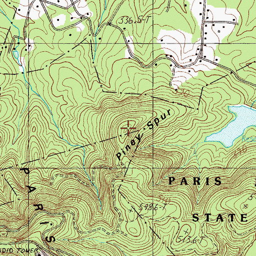 Topographic Map of Piney Spur, SC
