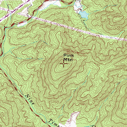 Topographic Map of Pink Mountain, SC