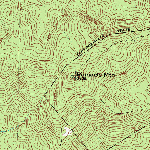 Topographic Map of Pinnacle Mountain, SC