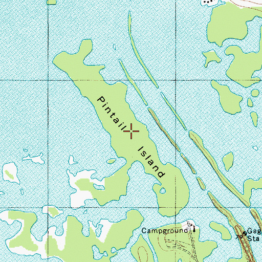 Topographic Map of Pintail Island, SC