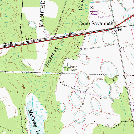 Topographic Map of Pitts Cemetery, SC