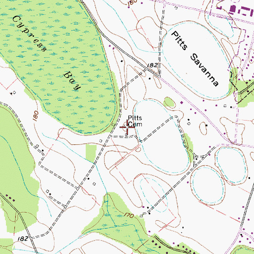 Topographic Map of Pitts Cemetery, SC