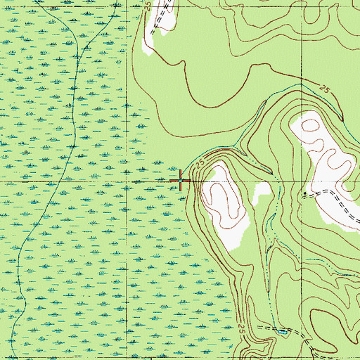 Topographic Map of Platt Branch, SC