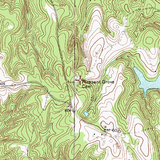 Topographic Map of Pleasant Grove Cemetery, SC