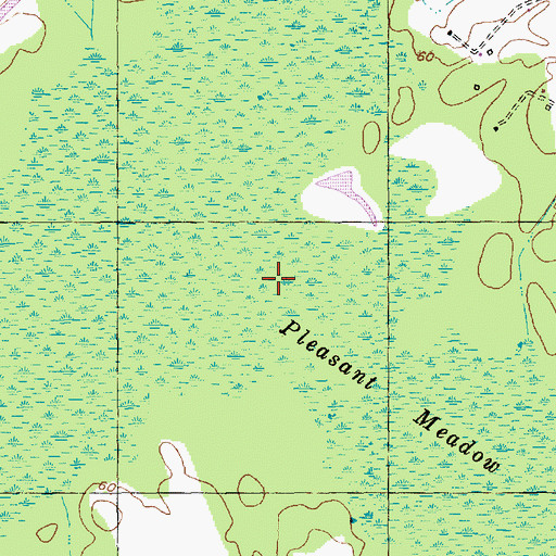 Topographic Map of Pleasant Meadow Swamp, SC