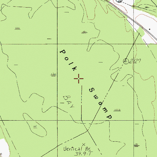 Topographic Map of Polk Swamp, SC